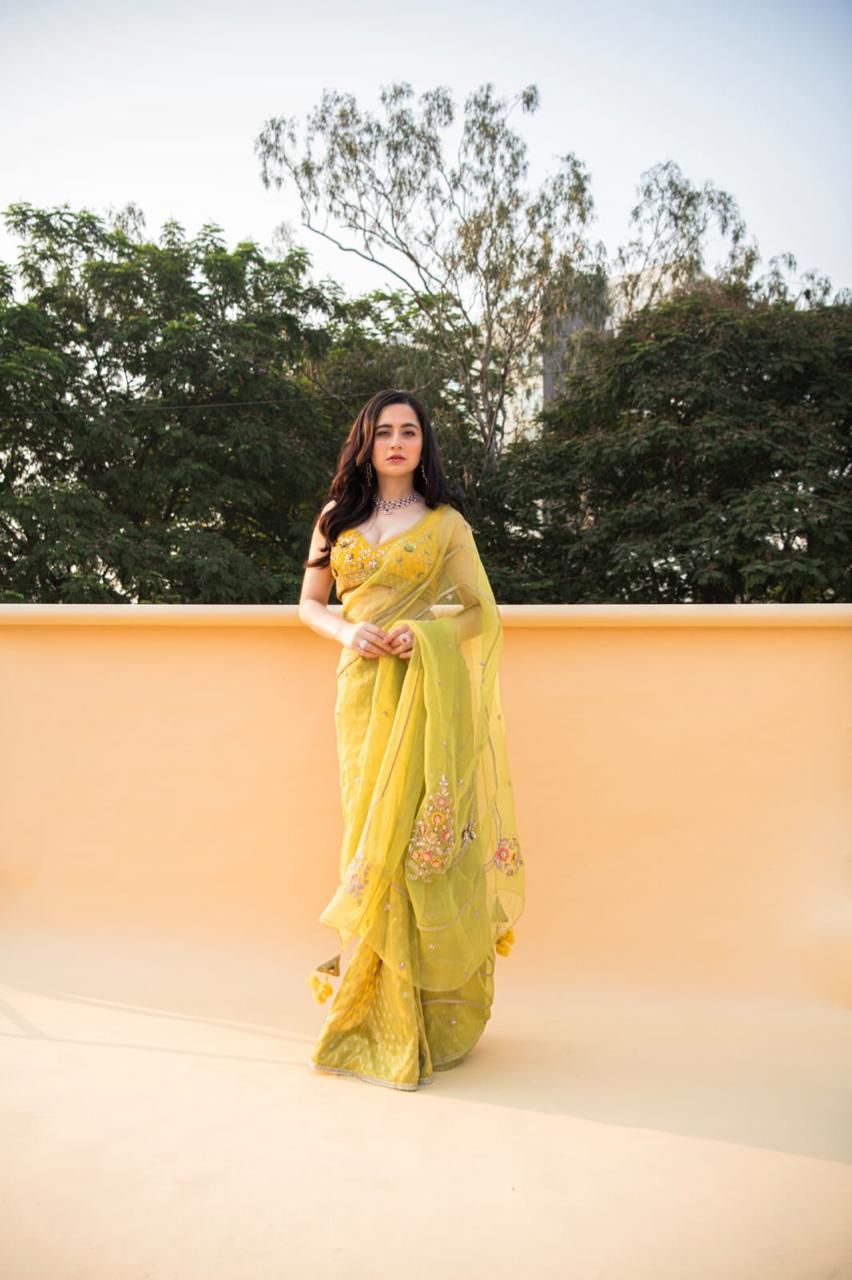 Lime Green Banarasi Tissue And Silk Organza Saree