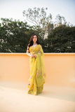 Lime Green Banarasi Tissue And Silk Organza Saree