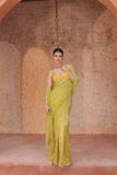 Lime Green Banarasi Tissue And Silk Organza Saree