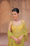 Lime Green Banarasi Tissue And Silk Organza Saree
