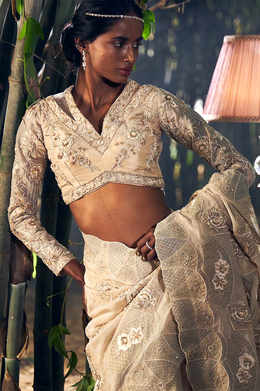 Beige Tissue & Organza Embroidered Saree Set