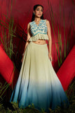 Ombre embroidered ruffled crop top and skirt set