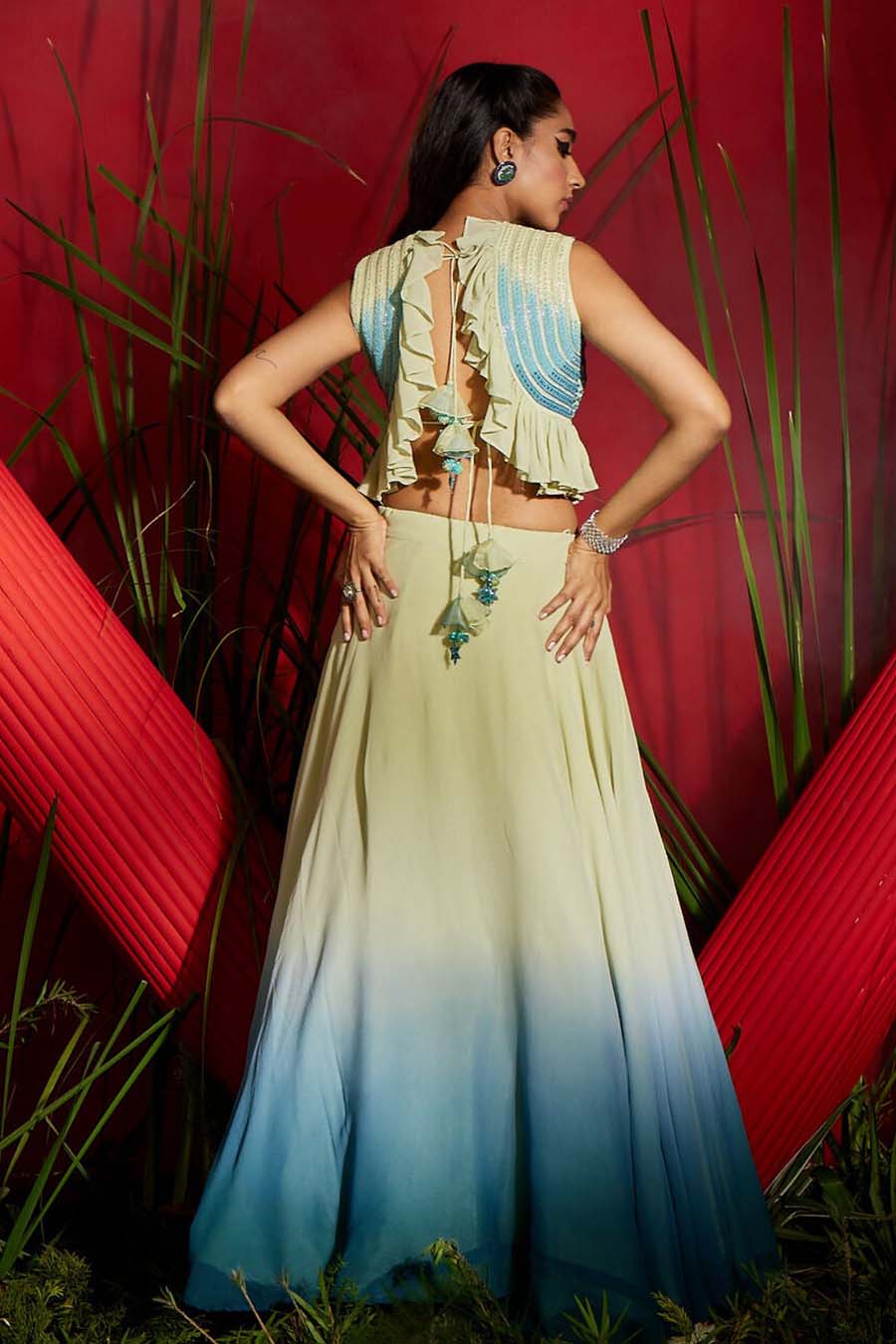 Ombre embroidered ruffled crop top and skirt set