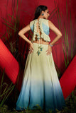 Ombre embroidered ruffled crop top and skirt set