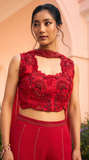 Hot Red Organza & Gerogette Sharara set