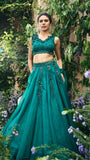 Emerald Green embroidered Organza Skirt Set