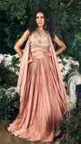 Peach pink Chanderi zari ,Crepe & Tissue Skirt Set