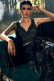 Black Tissue & Organza Embroidered Saree Set