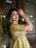 Pista green banarasi tissue peplum set