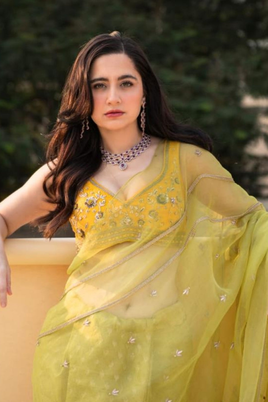 Lime Green Banarasi Tissue And Silk Organza Saree