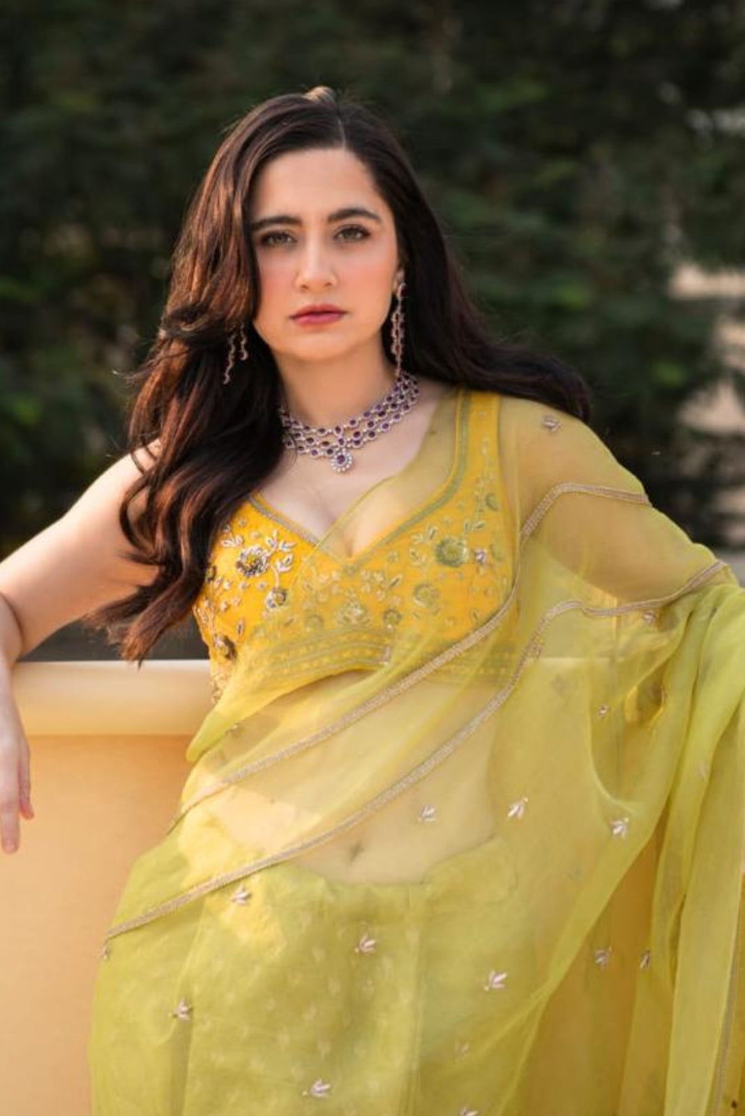 Lime Green Banarasi Tissue And Silk Organza Saree