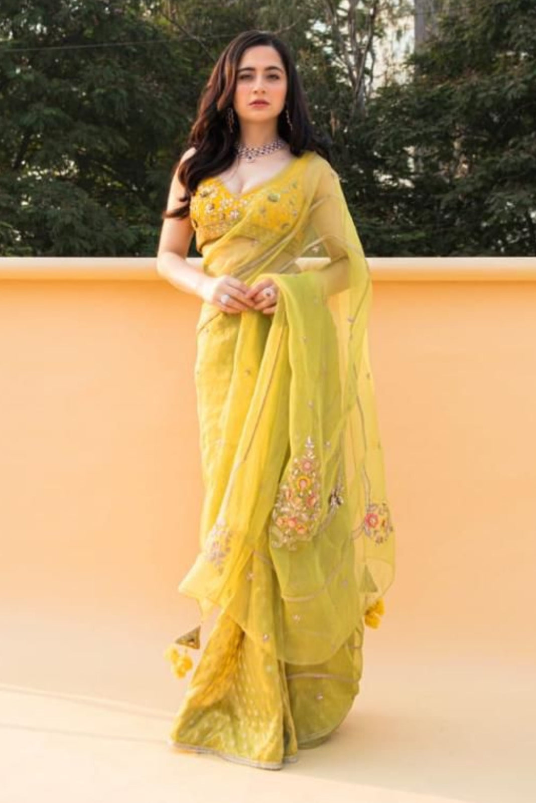 Lime Green Banarasi Tissue And Silk Organza Saree