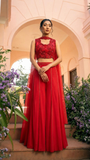 Hot Red Organza & Gerogette Sharara set
